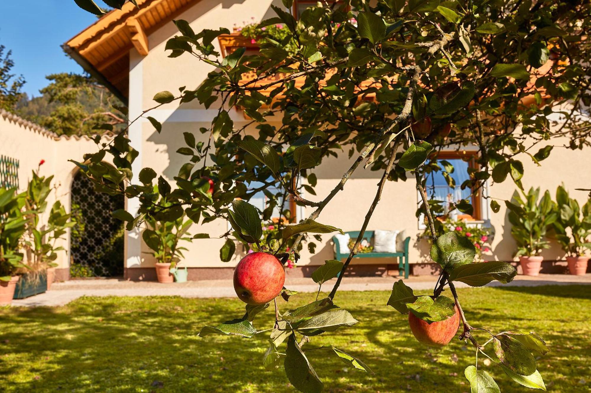 Molln Ferienhaus Zur Maultrommel מראה חיצוני תמונה